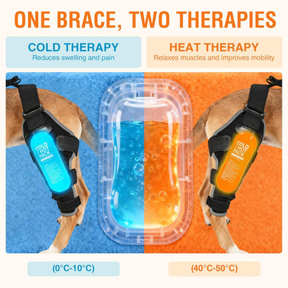Dog Hind Leg ACL Brace – Adjustable Support with Hot & Cold Gel Pack for Arthritis & Joint Pain