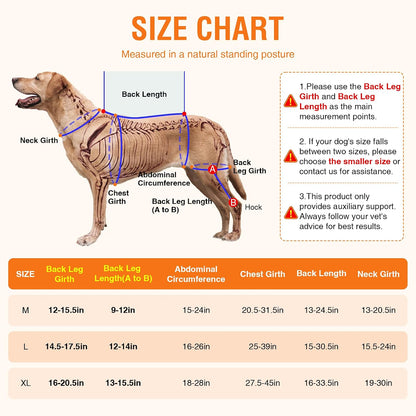 Dog Hind Leg ACL Brace – Adjustable Support with Hot & Cold Gel Pack for Arthritis & Joint Pain